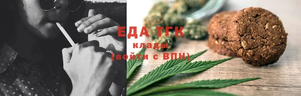 индика Абаза