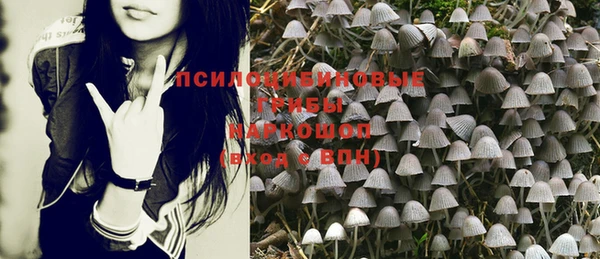 дурь Алзамай
